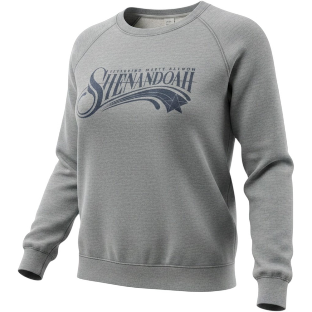 Alternative Apparel Shenandoah Marty Raybon Band Sweatshirt Gray Large